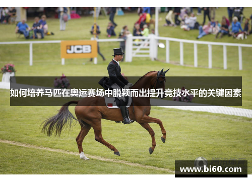 如何培养马匹在奥运赛场中脱颖而出提升竞技水平的关键因素