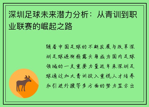 深圳足球未来潜力分析:从青训到职业联赛的崛起之路 深圳足球未来潜力分析:从青训到职业联赛的崛起之路